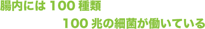 腸内には100種類100兆の最近が働いている